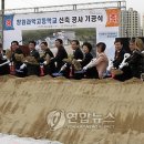 서상동117 이미지