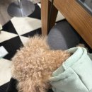 라온이네 이미지