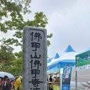 불갑사관광지 | 영광불갑사 상사화 축제 250928 구봉