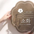 스테이 소화