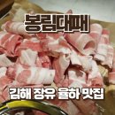 UR(김해시)-[율하로]-상-26 | 김해 장유 율하 신상 맛집 샐러드바가 있는 봉림대패