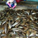 이화칼국수 이미지