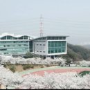 용인대학교 이미지