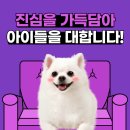 퍼피캣 애견미용 애견호텔 인천루원시티점 네이버블로그