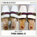 위례 가죽복원 명품신발수선 구찌 뮬 복원 내돈내산 후기 가죽을 지배하는 자