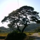 장창수농장 이미지