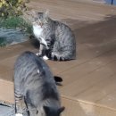 앙뜰 민박 이미지