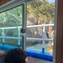 부산가족여행 1박2일 :) 태종대 부산깡통시장 민락어민활어직판장 스카이캡슐 현장예매 부산여행코스 추천
