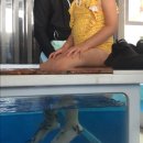 진국본가 도고점 이미지