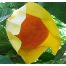 혁이네농장 이미지