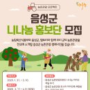 나농