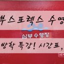 삼부스포렉스 이미지