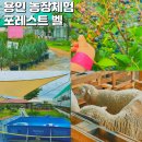 고건농장 | 경기도 동물체험 포레스트벨 용인 농장체험 다양한 즐길거리
