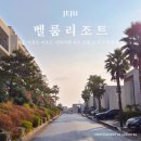 516로 | 제주 서귀포 리조트 조식 수영장 가족여행 숙소 추천 벨룸리조트 후기