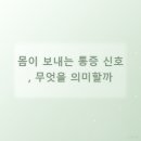 <형태의 속삭임> 이미지