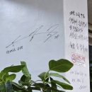 이미견 밥엔 낙지볶음 이미지