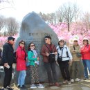 조나단대장님따라....원미산 진달래축제현장에서..아름다운추억몇장 !!3,31(일) 이미지