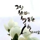100세의료기