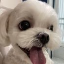 살롱아르르 이미지