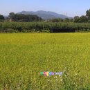 강경원 농장 이미지