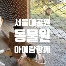 빨간코끼리동물약국 | [서울대공원 동물원] 동물 보고 온 후기+코스추천 / 동물원 공사중 + 먹거리+간식