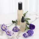 인셀덤 힐링엔젤스여천점 이미지