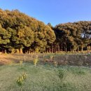 인더송당펜션 이미지