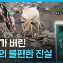 옷의나라 이미지