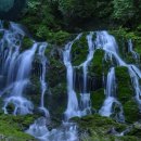 장전2리 | 강원 영월 상동 이끼계곡 출사 후기