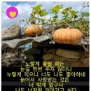 산우 이미지