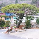 철마한우초원 이미지