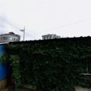 로얄셀프세차장 | 원주 로얄셀프세차주차장 꼼꼼한 관리를 위한 최적의 선택
