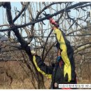 행복한사슴농장 이미지