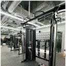 카인드 휘트니스 이미지