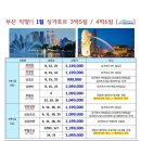 드림여행사 이미지