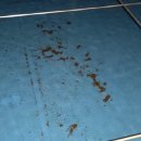 신성메디칼 이미지