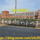 오송초교 병설유치원 이미지