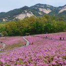 불암산 순환산책로 이미지