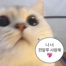 명륜진사갈비수락산점