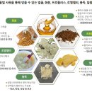 항산화 영양제 프로폴리스 효능 및 뉴질랜드 프로폴리스 이미지