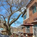 청송가든 이미지