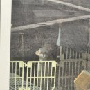 디케이워시남사점 | 용인 디케이워시 남사점 노터치자동세차 후기 (용인노터치세차)