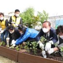 서강동 주민센터 이미지