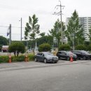 때미리디테일링 이미지