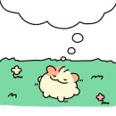 굿윌스토어밀알부산망미점 이미지