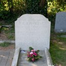 ​아라비아의 로렌스: 아랍 반란의 숨겨진 이야기 이미지