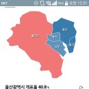 울산 개표상황 이미지