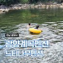 앞들서3로 느티나무길 | [광양 옥룡계곡 펜션추천] 느티나무펜션