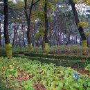 만날근린공원 이미지