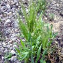 한그루 소아청소년과 의원 이미지